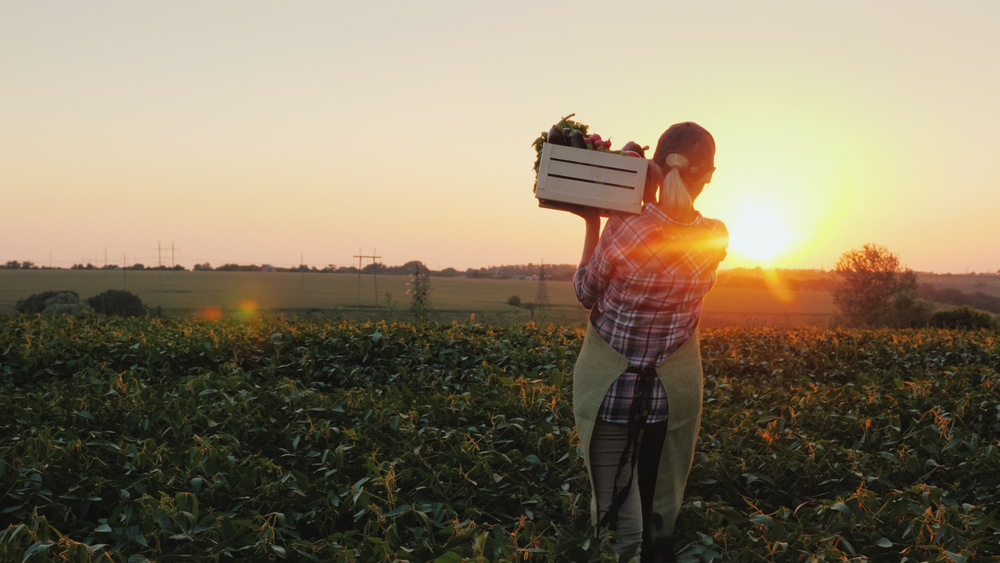 Rear,View:,A,Female,Farmer,With,A,Box,Of,Fresh
